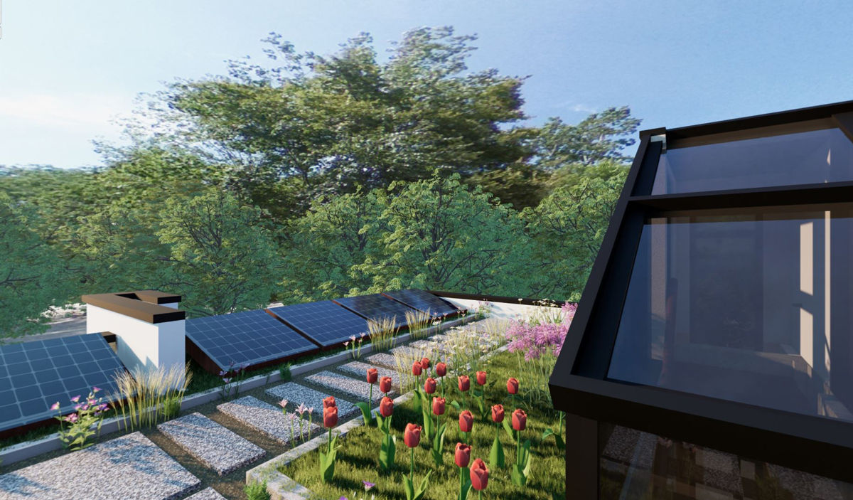 Rainwater Harvesting